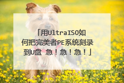 用UltraISO如何把完美者PE系统刻录到U盘 急!急!急!