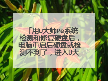 用U大师Pe系统检测和修复硬盘后,电脑重启后硬盘就检测不到了,进入U大师硬盘检测与修复利器——MHDD后