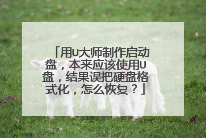 用U大师制作启动盘，本来应该使用U盘，结果误把硬盘格式化，怎么恢复？