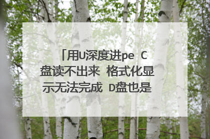 用U深度进pe C盘读不出来 格式化显示无法完成 D盘也是一样 装机未响应