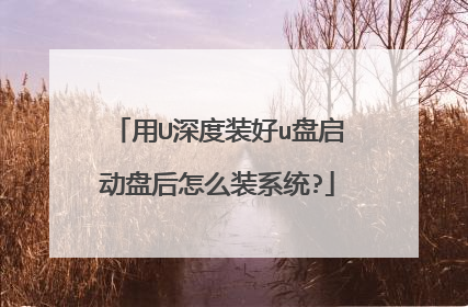 用U深度装好u盘启动盘后怎么装系统?