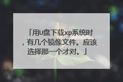 用U盘下载xp系统时，有几个镜像文件。应该选择那一个才对。