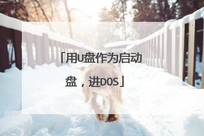 用U盘作为启动盘，进DOS