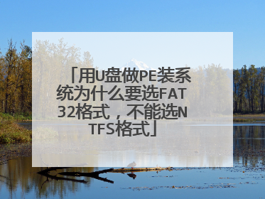 用U盘做PE装系统为什么要选FAT32格式，不能选NTFS格式