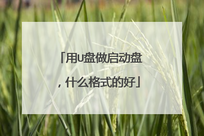 用U盘做启动盘,什么格式的好