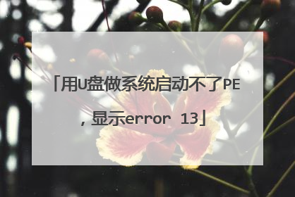 用U盘做系统启动不了PE,显示error 13