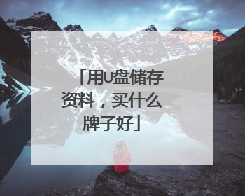 用U盘储存资料,买什么牌子好