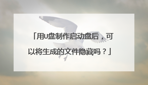 用U盘制作启动盘后,可以将生成的文件隐藏吗?