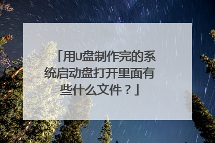 用U盘制作完的系统启动盘打开里面有些什么文件？