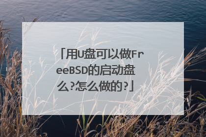 用U盘可以做FreeBSD的启动盘么?怎么做的?