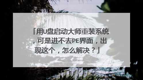 用U盘启动大师重装系统，可是进不去PE界面，出现这个，怎么解决？