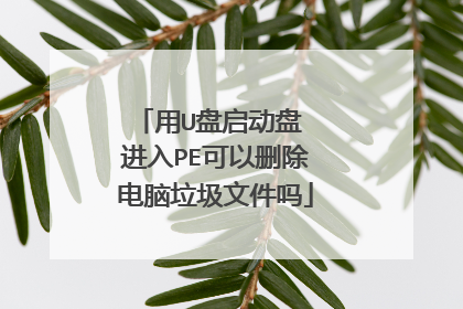 用U盘启动盘 进入PE可以删除电脑垃圾文件吗