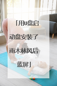 用U盘启动盘安装了雨木林风后蓝屏
