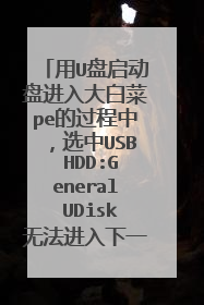 用U盘启动盘进入大白菜pe的过程中,选中USB HDD:General UDisk无法进入下一步,