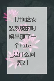 用U盘安装系统的时候出现了一个file_是什么问题?