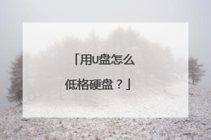 用U盘怎么低格硬盘?