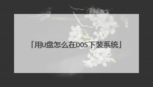 用U盘怎么在DOS下装系统