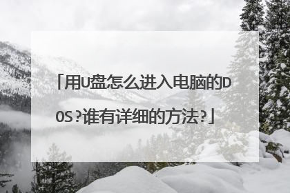 用U盘怎么进入电脑的DOS?谁有详细的方法?