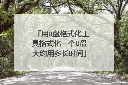 用U盘格式化工具格式化一个U盘大约用多长时间