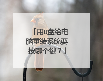 用U盘给电脑重装系统要按哪个键？