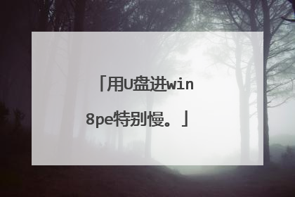 用U盘进win8pe特别慢。