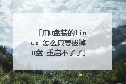 用U盘装的linux 怎么只要拔掉U盘 重启不了了