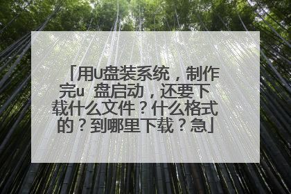 用U盘装系统，制作完u 盘启动，还要下载什么文件？什么格式的？到哪里下载？急