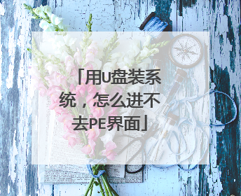 用U盘装系统,怎么进不去PE界面