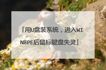 用U盘装系统，进入WIN8PE后鼠标键盘失灵