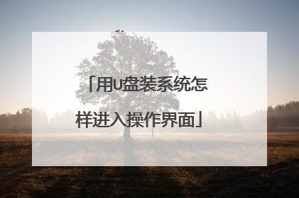 用U盘装系统怎样进入操作界面