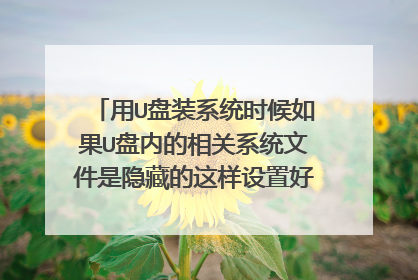用U盘装系统时候如果U盘内的相关系统文件是隐藏的这样设置好电脑启动项后能安装系统么，电脑能识别么
