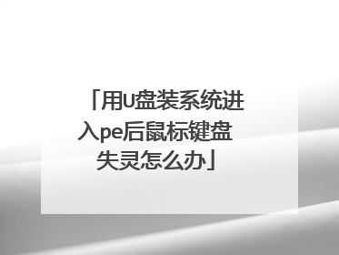 用U盘装系统进入pe后鼠标键盘失灵怎么办