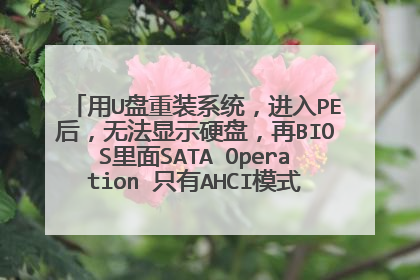 用U盘重装系统,进入PE后,无法显示硬盘,再BIOS里面SATA Operation 只有AHCI模式 ,应该怎么做 谢谢