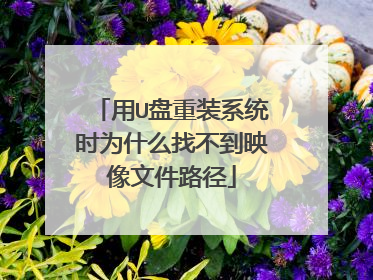 用U盘重装系统时为什么找不到映像文件路径