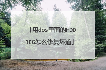 用dos里面的HDDREG怎么修复坏道