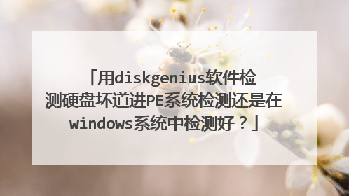 用diskgenius软件检测硬盘坏道进PE系统检测还是在windows系统中检测好？