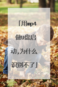用mp4 做U盘启动,为什么识别不了