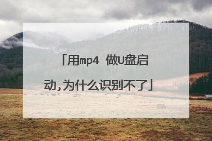 用mp4 做U盘启动,为什么识别不了