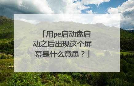 用pe启动盘启动之后出现这个屏幕是什么意思?