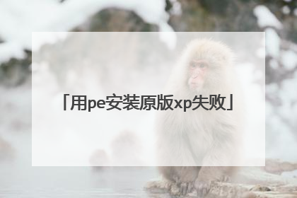 用pe安装原版xp失败