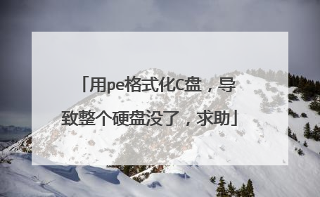 用pe格式化C盘，导致整个硬盘没了，求助