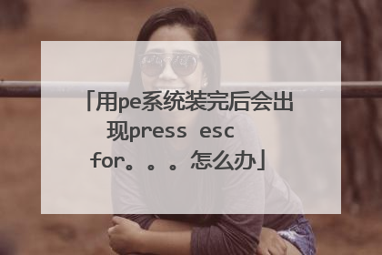 用pe系统装完后会出现press esc for。。。怎么办