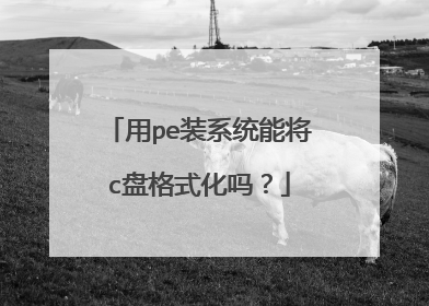 用pe装系统能将c盘格式化吗？