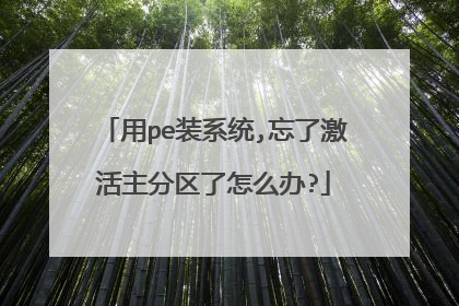 用pe装系统,忘了激活主分区了怎么办?