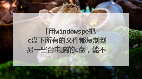 用windowspe把c盘下所有的文件都复制到另一些台电脑的c盘，能不能达到重装系统的目的