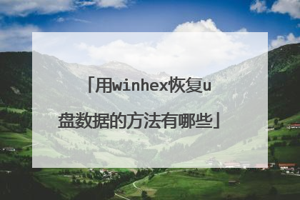 用winhex恢复u盘数据的方法有哪些