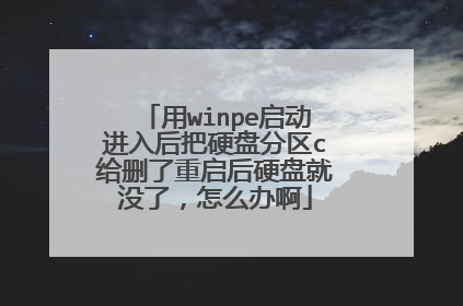用winpe启动进入后把硬盘分区c给删了重启后硬盘就没了,怎么办啊