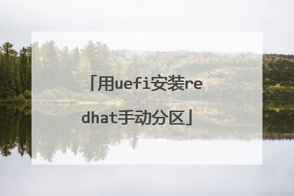 用uefi安装redhat手动分区