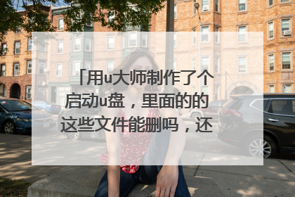 用u大师制作了个启动u盘,里面的的这些文件能删吗,还能进如pe吗