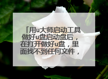 用u大师启动工具做好u盘启动盘后,在打开做好u盘,里面找不到任何文件,也没有占用容量,但是在重新启